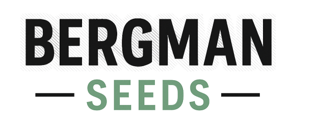 Bergman seeds