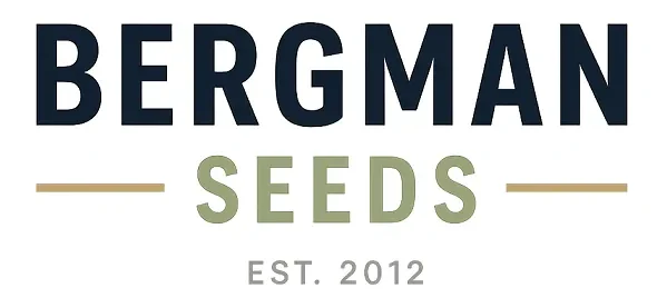 Bergman seeds